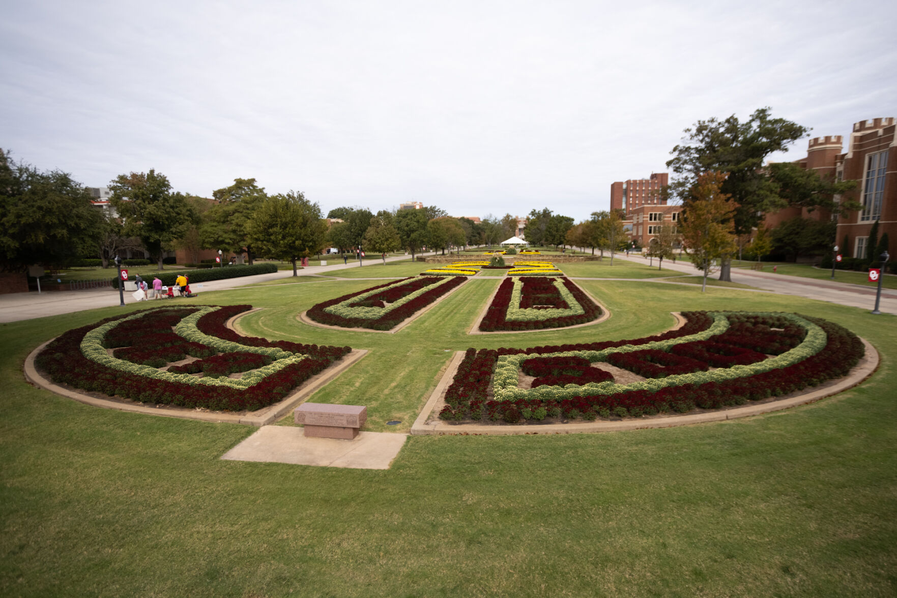 South Oval Mums